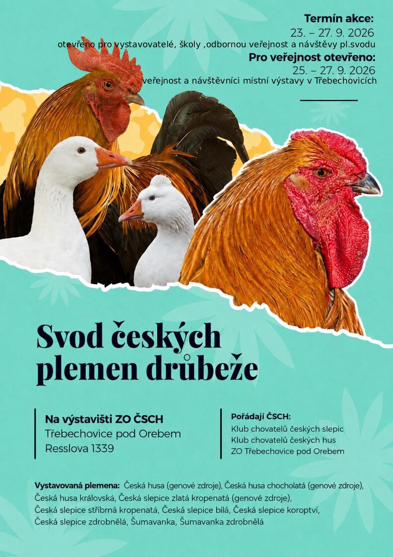 SVOD_ceskych_plemen_drubeze__1_.jpg