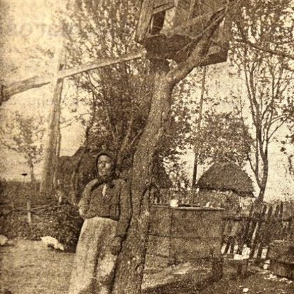 Pradávný způsob chovu drůbeže se uchoval v Egreši, východní část Československa, rok v 192