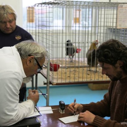 Hodnocení speciální výstavy v areálu ČSCH v Týništi nad Orlicí je týmovou prací