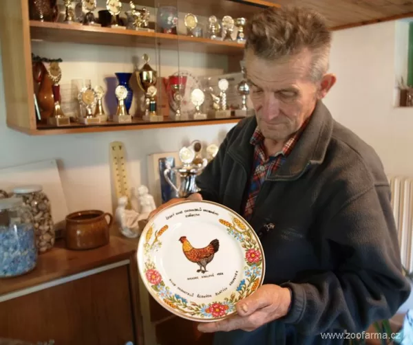 Zdeněk Baše je v současné době jediným chovatelem češky v barvě koroptví.