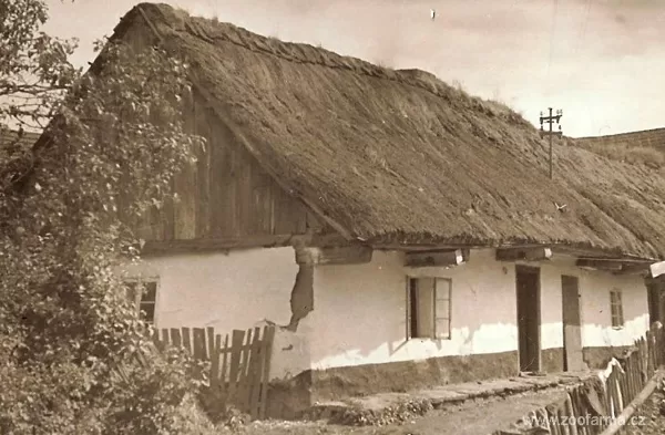 V síni na schodech nebo žebříku, spojující přízemí a patro, dříve často nocovaly slepice.