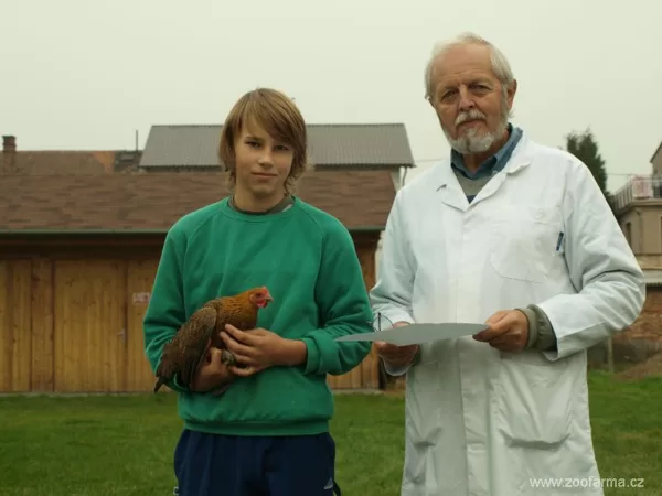 Speciální výstava českých slepic a šumavanek - Týniště nad Orlicí - 2012