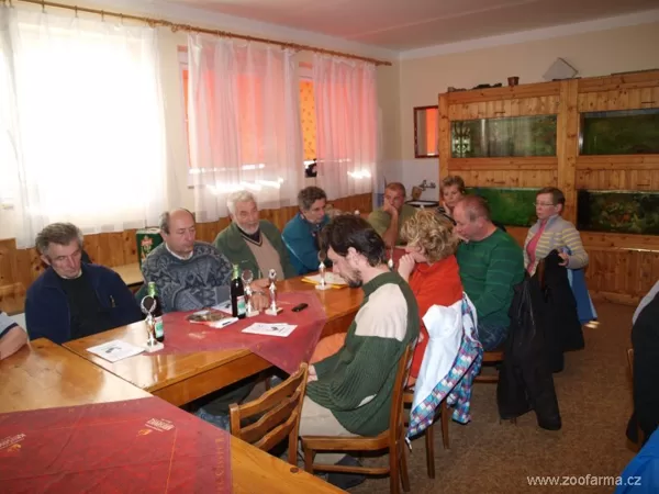Speciální výstava českých slepic a šumavanek - Týniště nad Orlicí - 2013