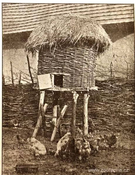 Archaický kurník z Marmoše na Podkarpatské Rusi (1925)