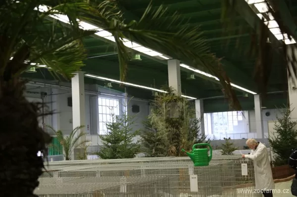 První pohled po vstupu do pavilónu hostící výstavu drůbeže