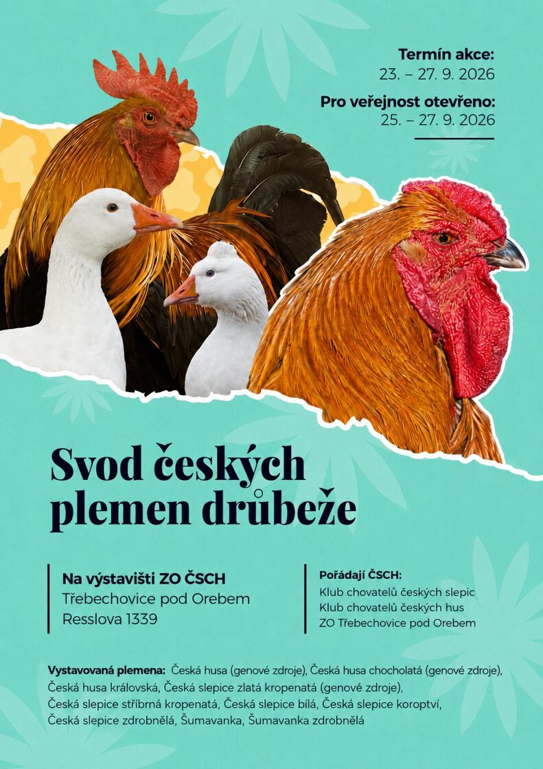 SVOD_ceskych_plemen_drubeze.jpg